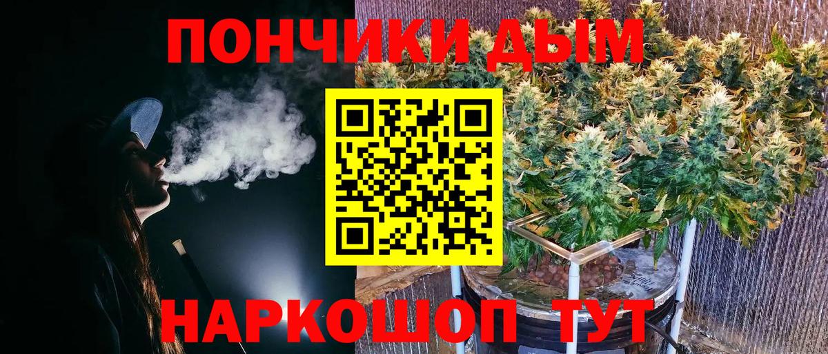 Канабис план  Марихуана Ganja  Клин  Марихуана OG Kush  Марихуана семена  Вход с VPN 